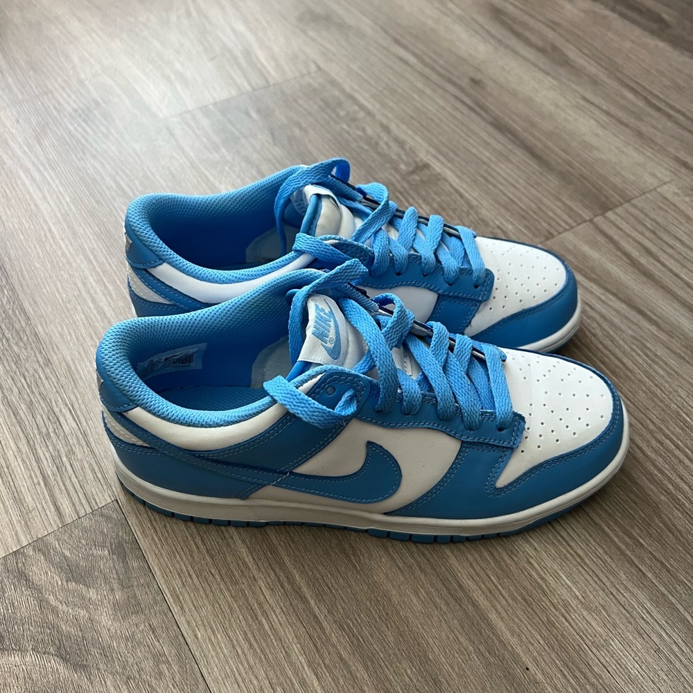 Blue Nike Dunks